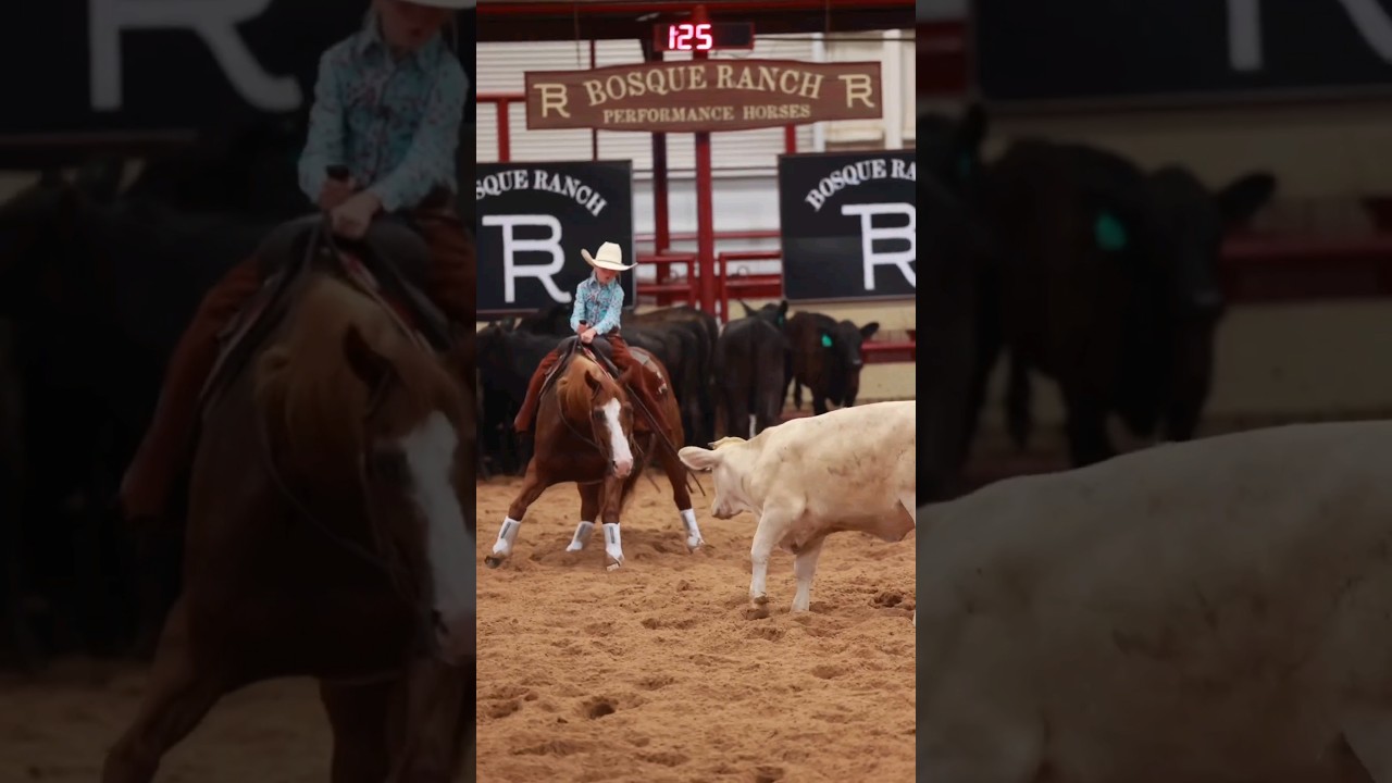 Futurity Champion🐎🌾 - 🎥Charlie Rice and He Bea Cat