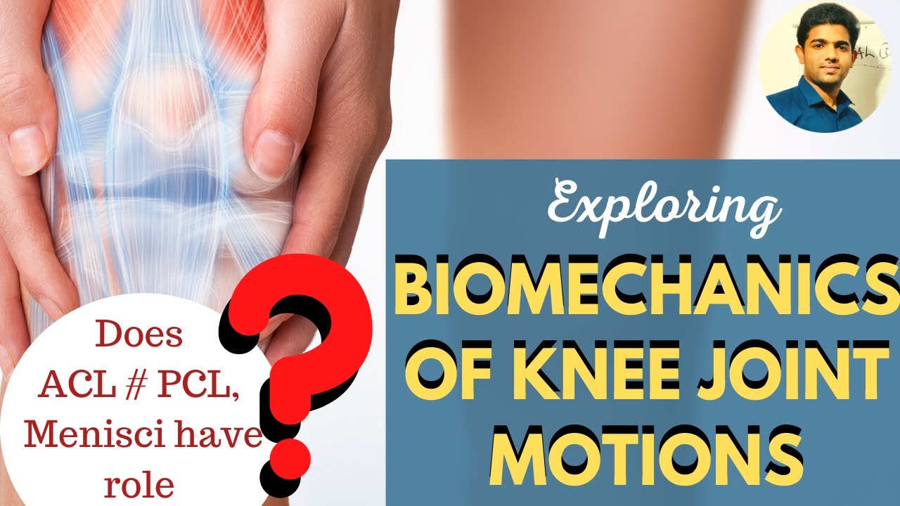 KNEE BIOMECHANICS | KNEE JOINT MOTIONS # JOINT KINEMATICS