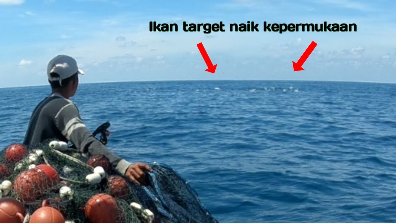 Berburu ikan yang naik kepermukaan KM. ANITA