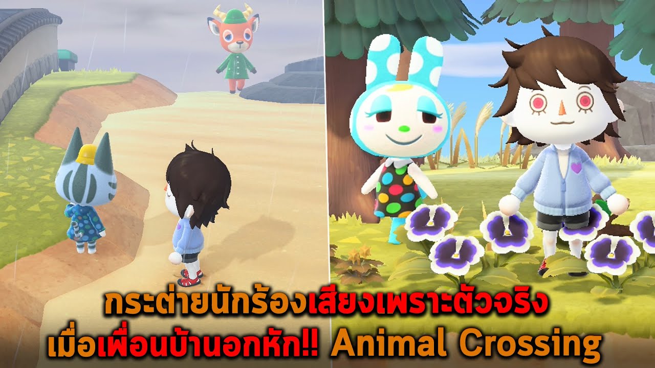 กระต่ายนักร้องเสียงเพราะตัวจริง เมื่อเพื่อนบ้านอกหัก Animal Crossing