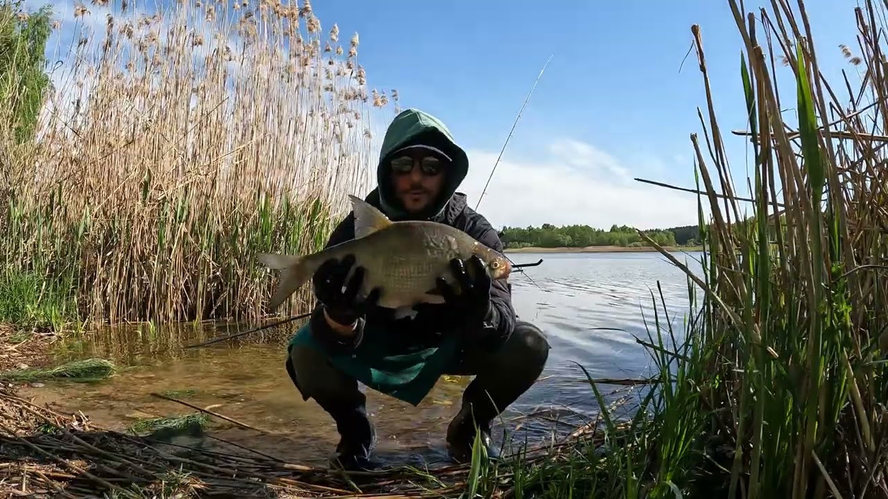 Žvejyba Nemune feederiu