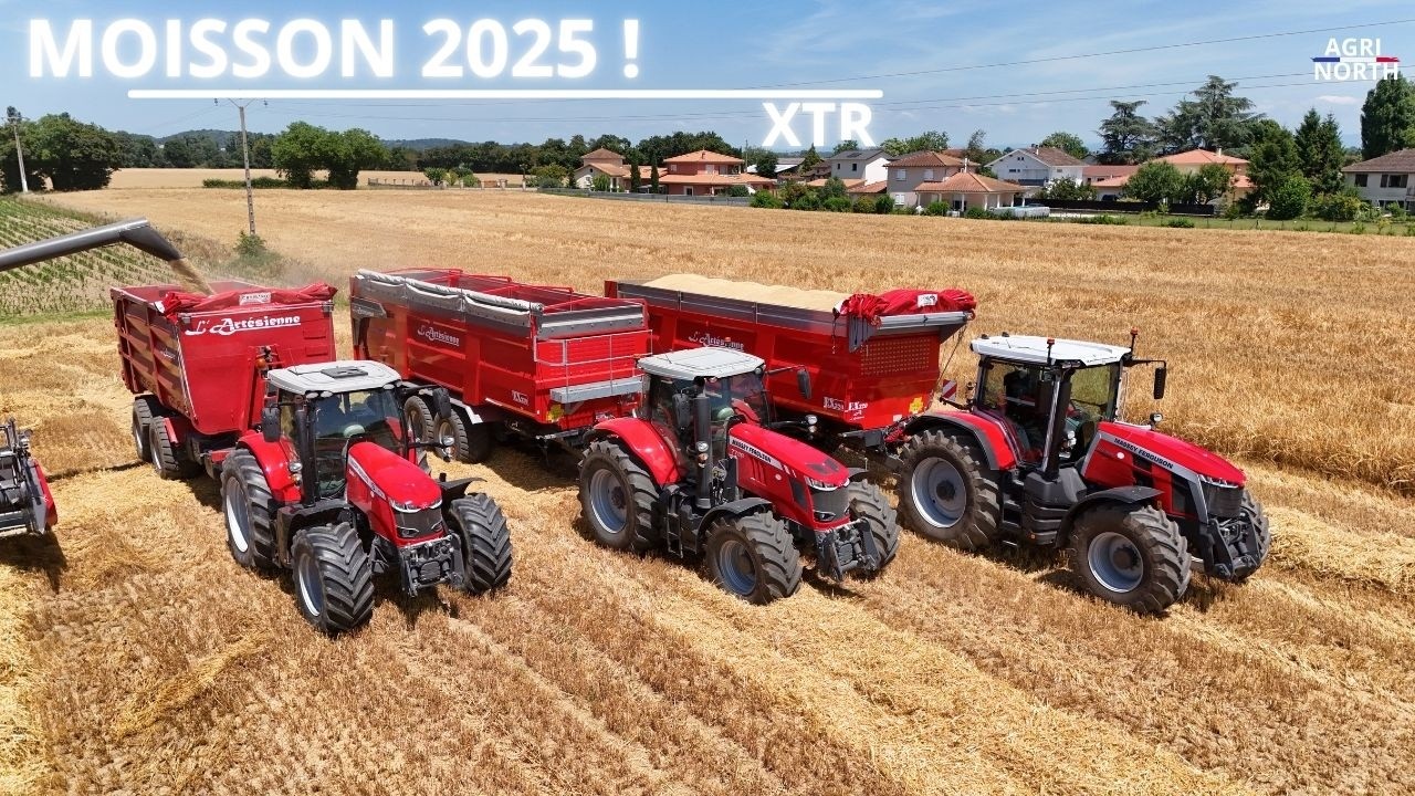 MOISSON 2025 !! | FULL MASSEY FERGUSON + ARTESIENNE