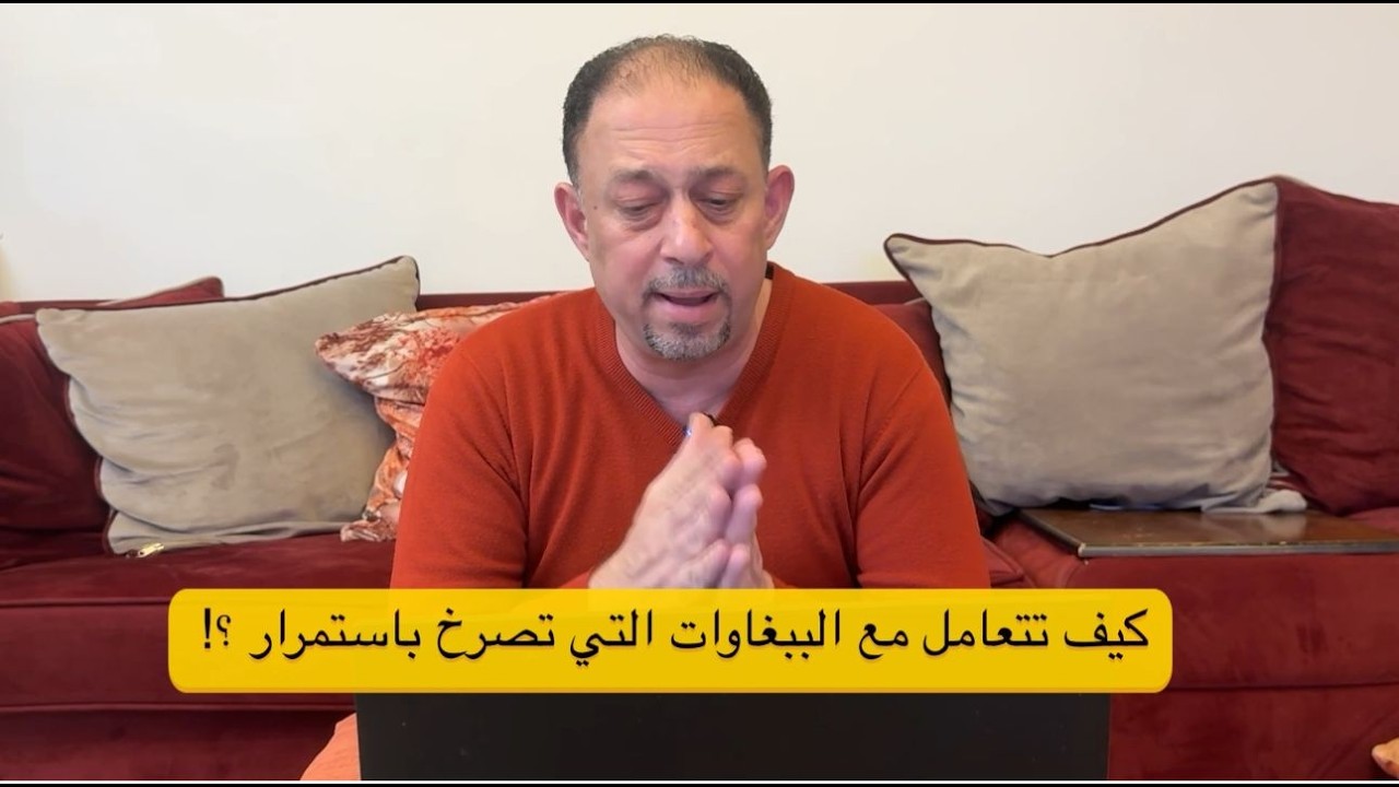 كيف تتعامل مع الببغاوات التي تصرخ باستمرار ؟!