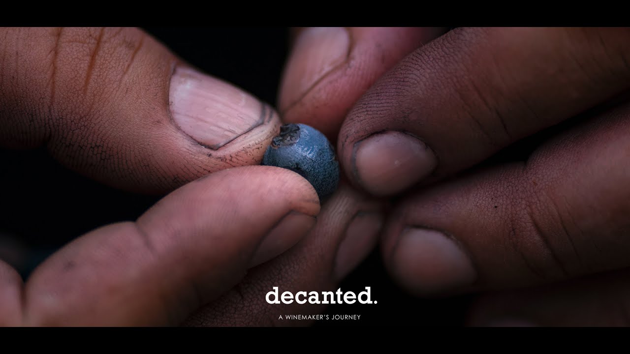 Decanted. - Winemaking in Napa Valley, CA