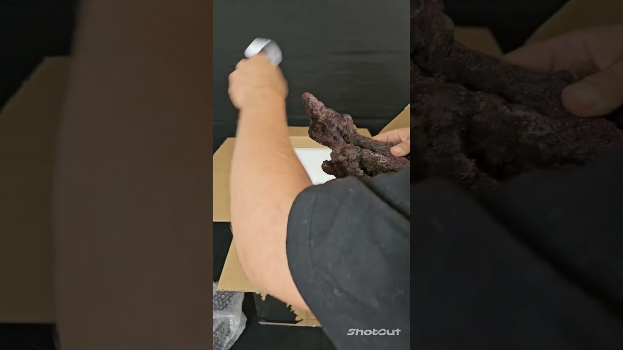 Unboxing of Ecoscape Reef Rock
