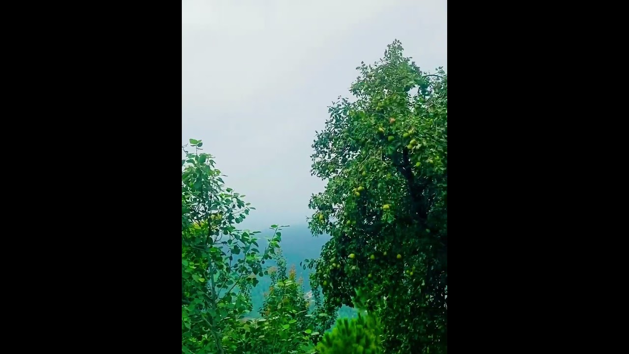 Pallandri beautiful city of Azad Kashmir