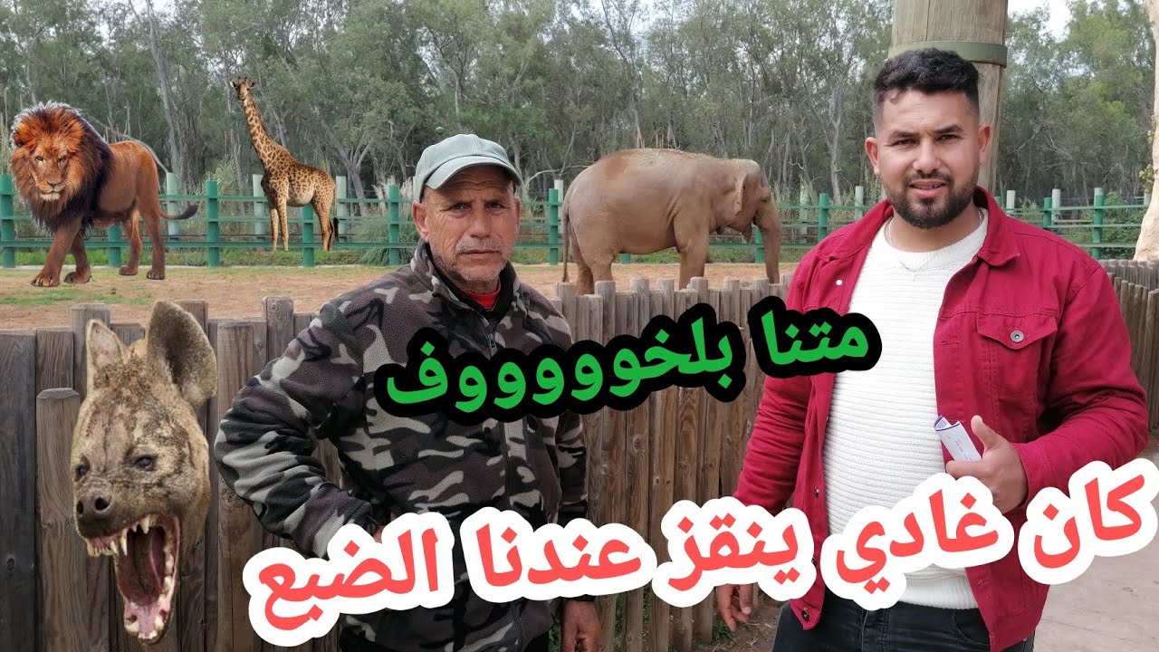 عمي حماد في حديقة الحيوانات الموت ديال الضحك 🤣