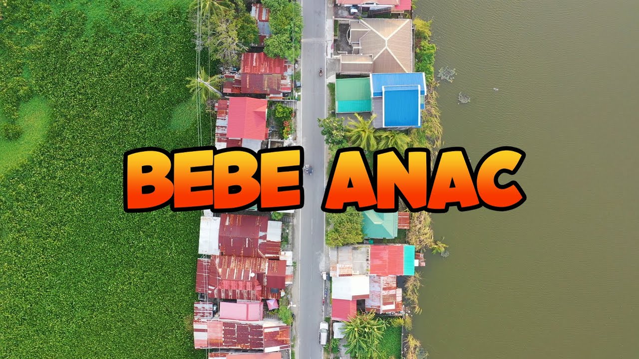 Bebe Anac Masantol Pampanga Aerial View DJI Mavic 2 Pro (Part 4)