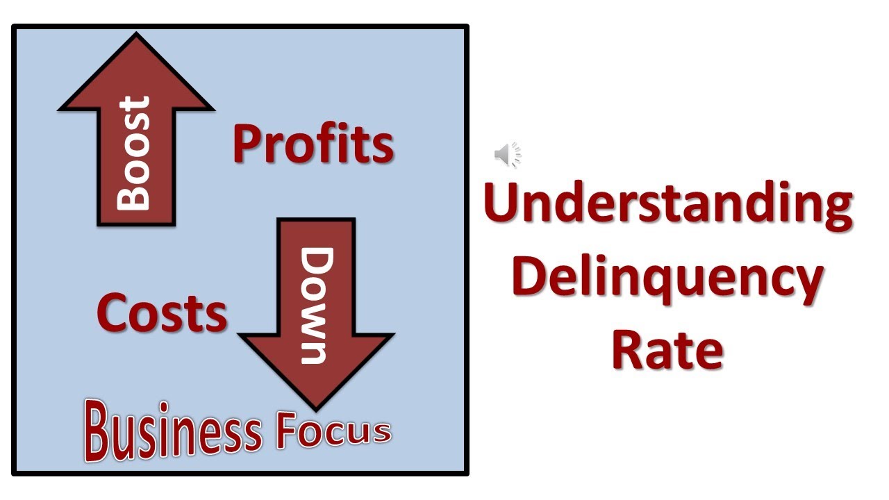 Understanding Delinquency Rate