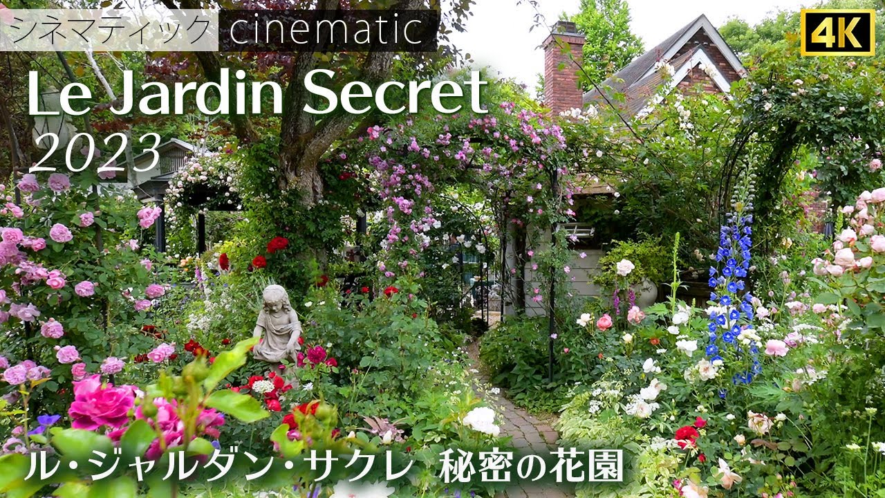 ルジャルダンサクレ　秘密の花園　バラ　権田邸　2023　シネマティック　/　Le Jardin Secret  ROSE Gonda Residence　cinematic 4K