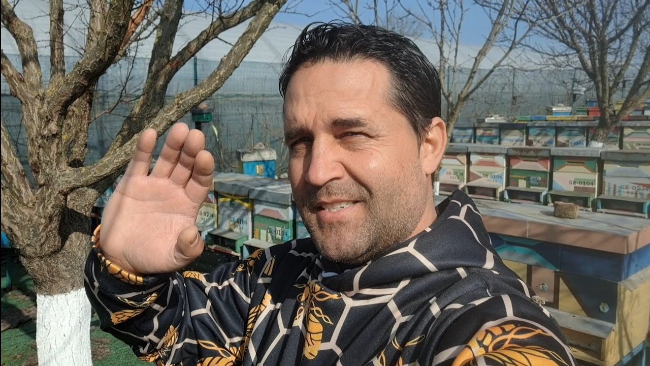 Asigurarea hranei cu turte energetice cu plante. 🐝🐝🐝🐝
