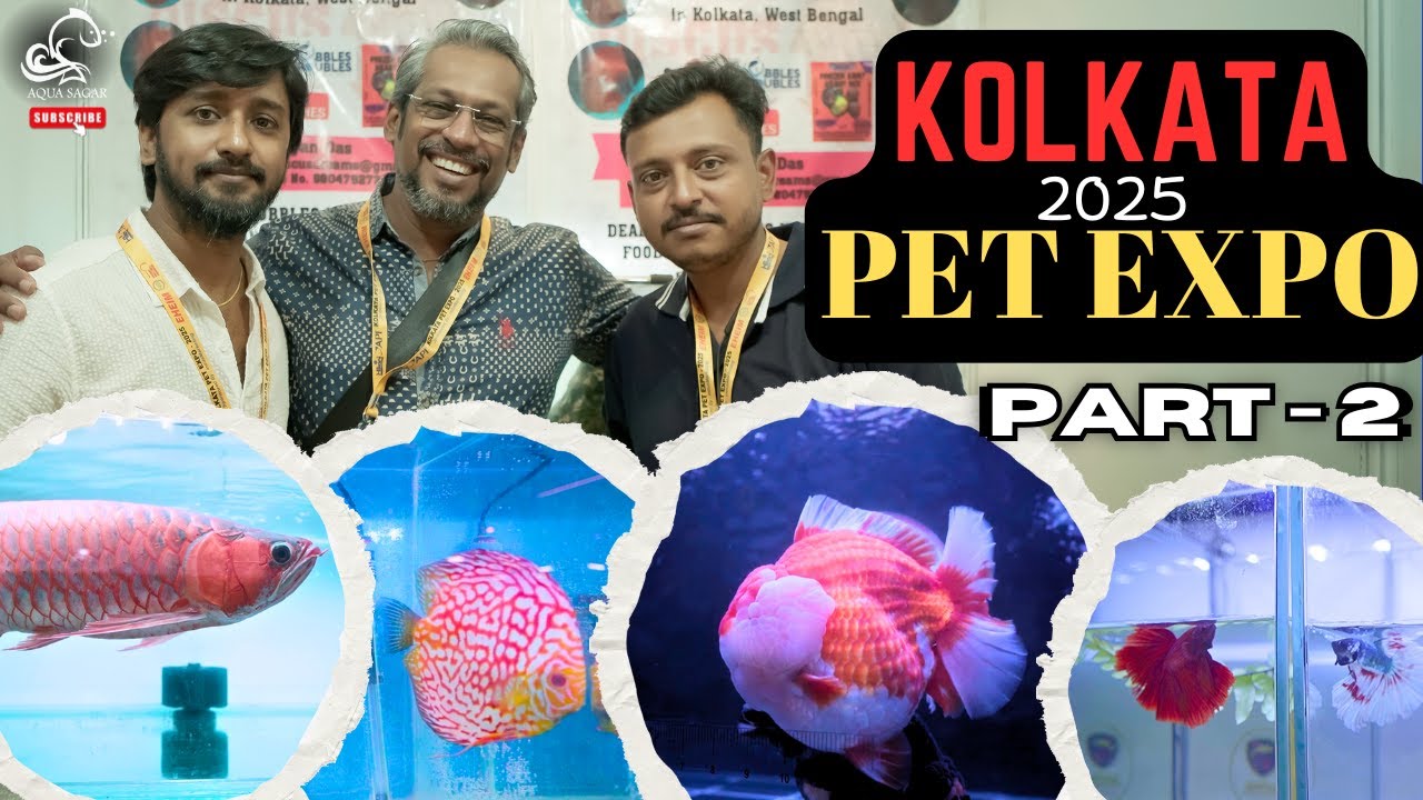 Kolkata Pet Expo 2025 Part 2 | Judges Interview, Exhibitors Story