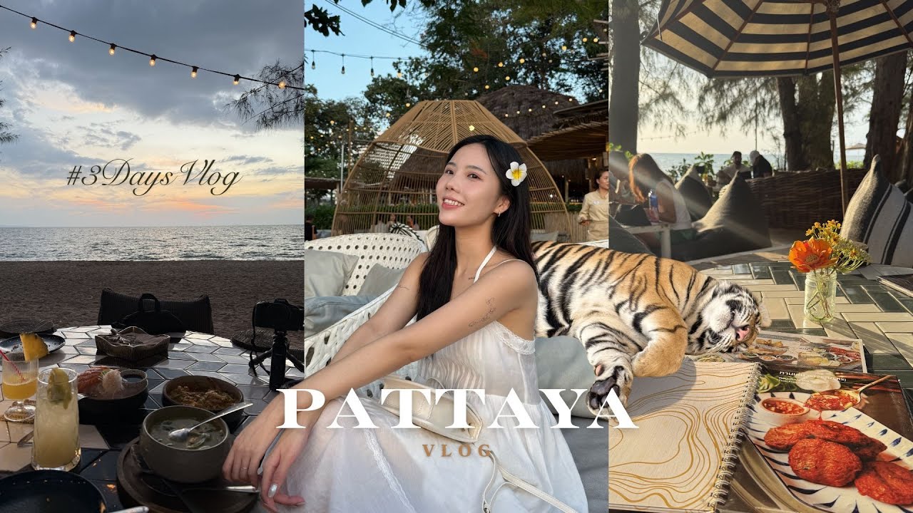 3日芭達雅Vlog 🇹🇭｜男模遊艇/珊瑚島一日遊/2間絕美日落咖啡廳/Tiger Park🐯/成人秀