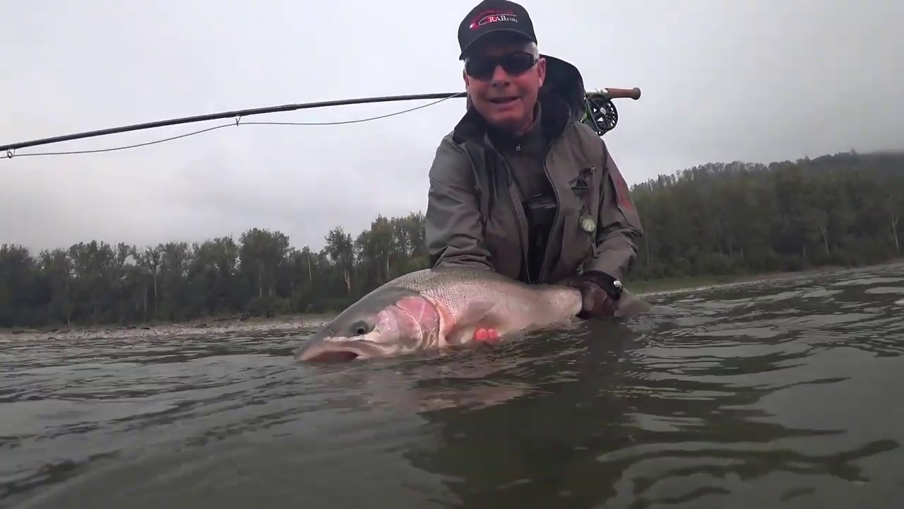 Chromatic Journey - BC Steelhead