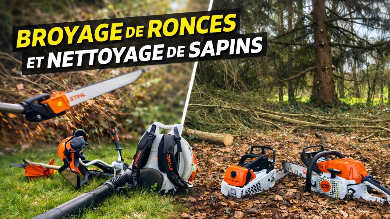 On sort la STIHL FS 560 broyage des ronces, nettoyage de 2 sapins avec la STIHL MS 271 et MS 194T!