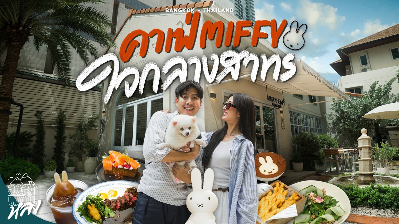 คาเฟ่ pet friendly ใจกลางเมืองบรรยากาศดี Miffy Café | อาสาพาไปหลง