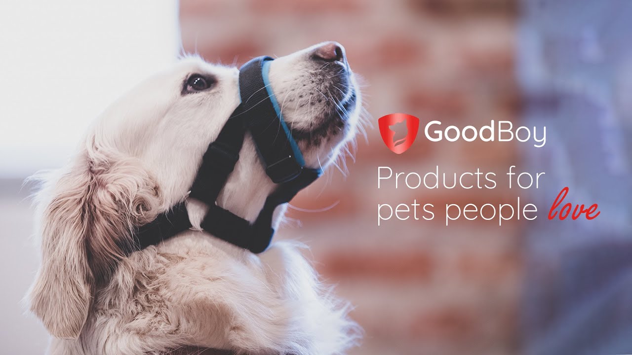 GoodBoy Gentle Muzzle Product Tutorial