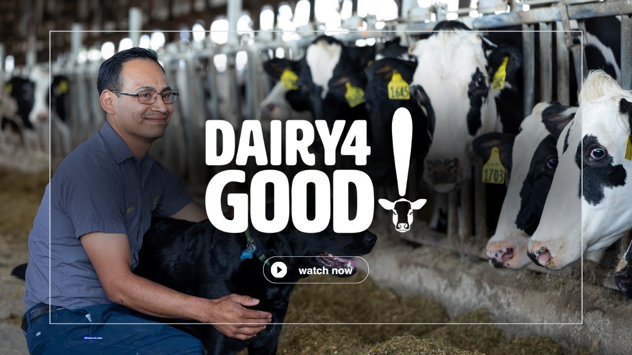 Stein Farms: The Impact of Science on New York Dairy Farms as Told by a Farmworker