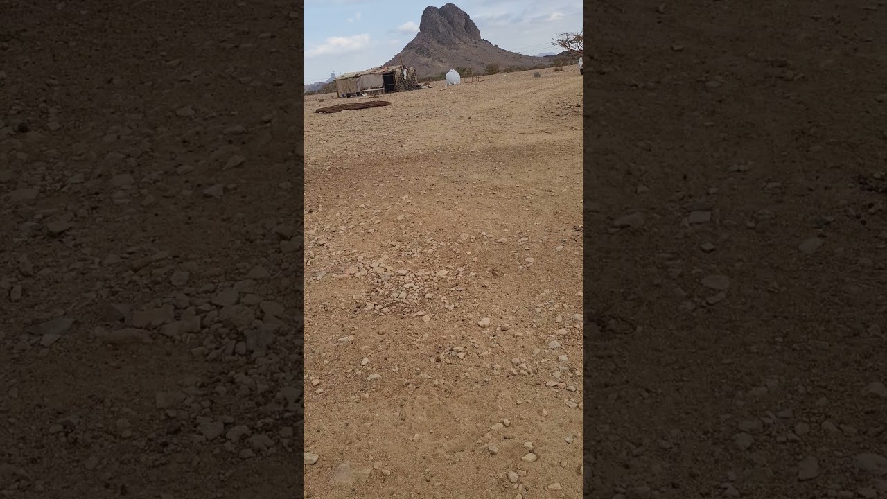 افضل طريقة تأسيس مراح جديد