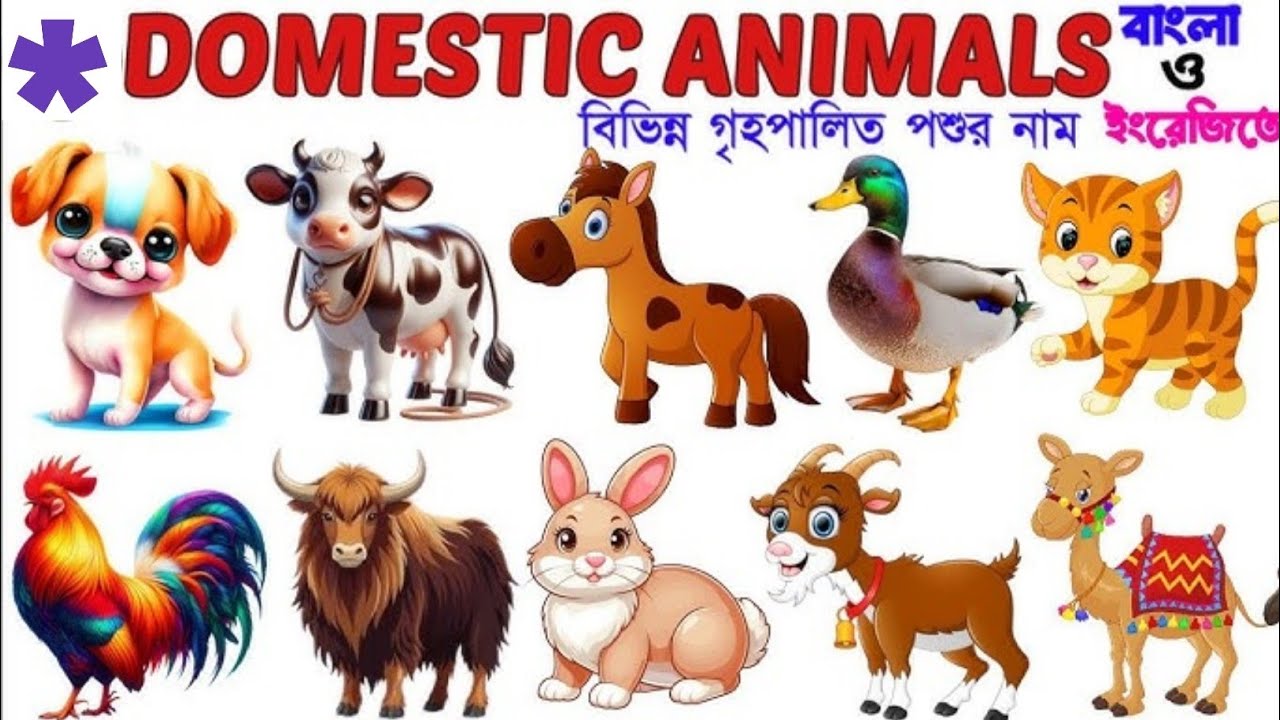 Domestic animals name| 🐄 🐕 🐈 🐐 🐎 বিভিন্ন গৃহপালিত প্রাণীর নাম বাংলা এবং ইংরেজী| Pets animals name|
