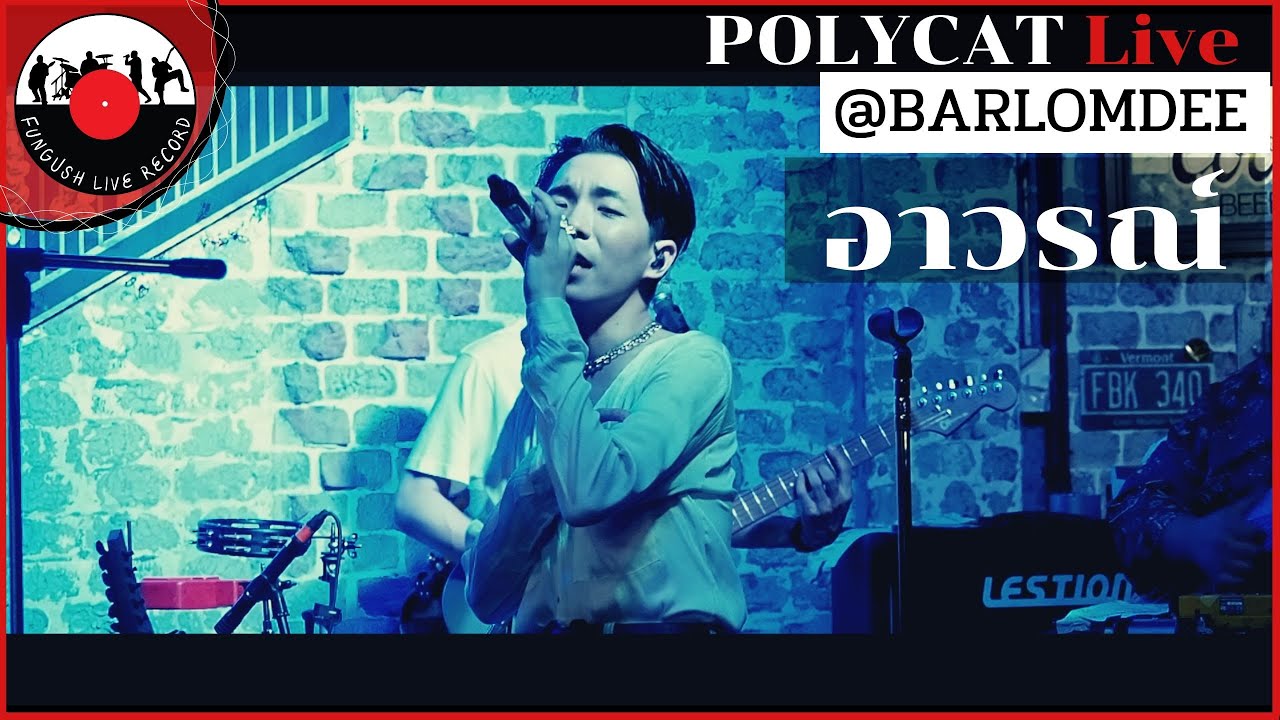 POLYCAT - อาวรณ์ [ LIVE@BARLOMDEE ] #Fungush