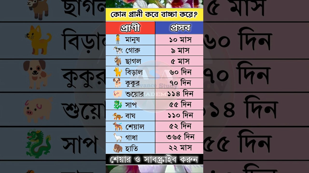 কোন প্রাণী কবে বাচ্চাপ্রসবকরে  