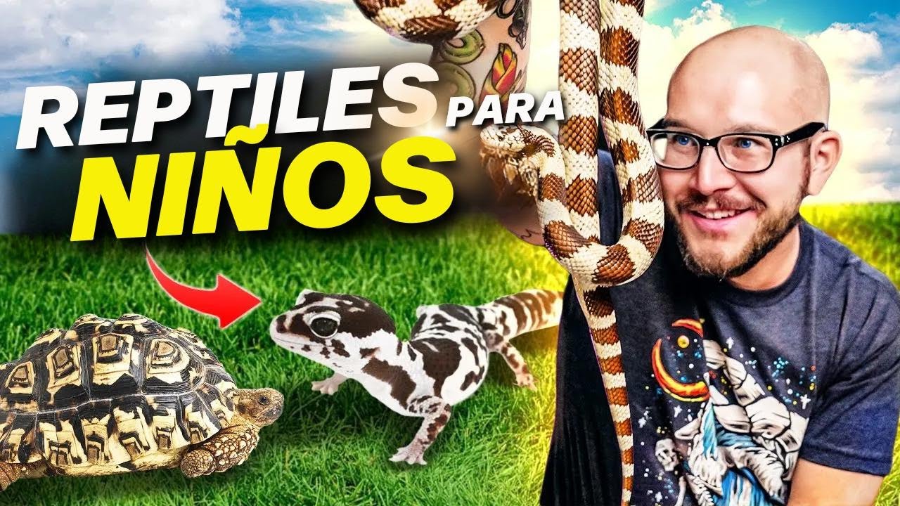 Top 5 Reptiles PERFECTOS para Niños! | Reptiles amigables para la familia