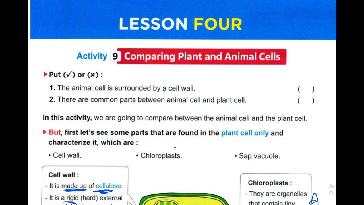 Grade 6 lesson 4&5 Concept 1.1  شرح الدرس الرابع و الخامس ساينس بسهولة الصف السادس الابتدائى   2026