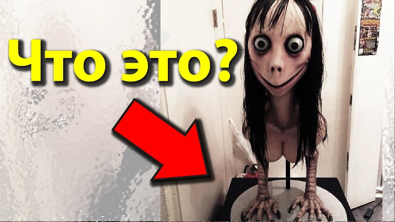 Acquaintance with Momo. Never Call Momo on WhatsApp!
