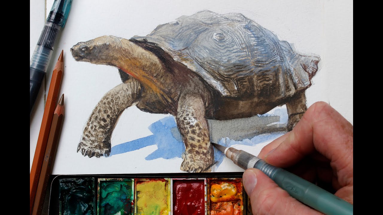 Watercolor + Colored Pencils = Fast, Realistic Textures