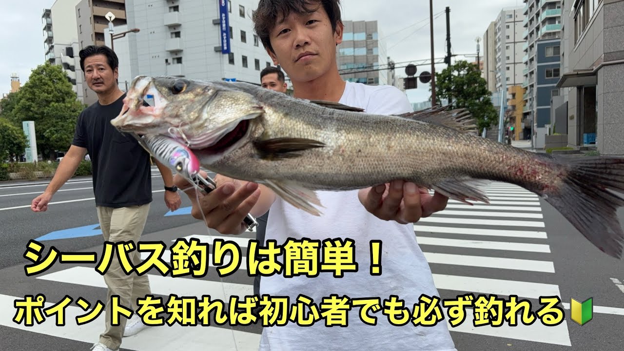 シーバス釣りの基本を完全解説【湾奥最前線】