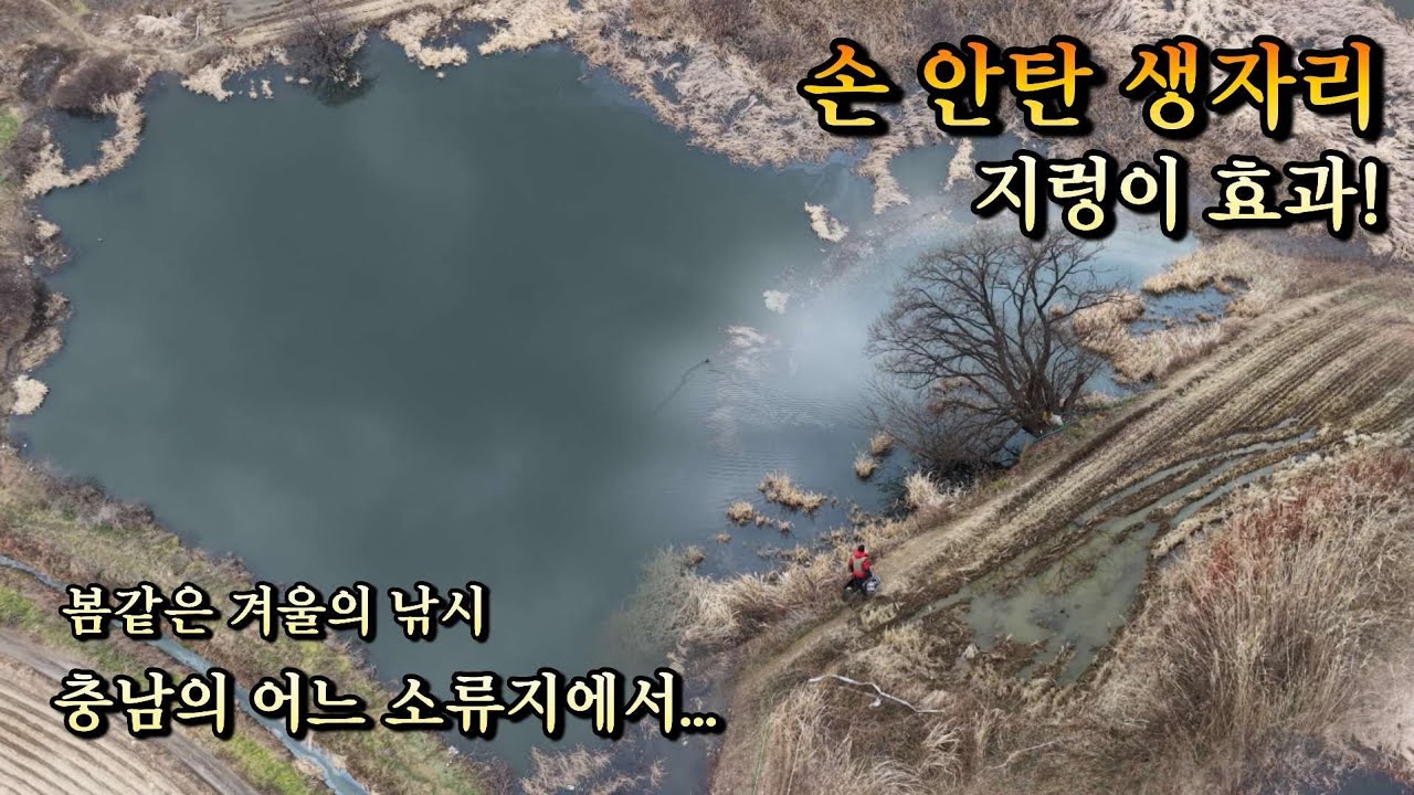 [충남 천안권] 동계철 지렁이 미끼/수초 생자리낚시#문기어#눈스터선글라스#불당동강성구#슬로우찌#리틀방콕#육향정#미식예감#패밀리꼬마김밥