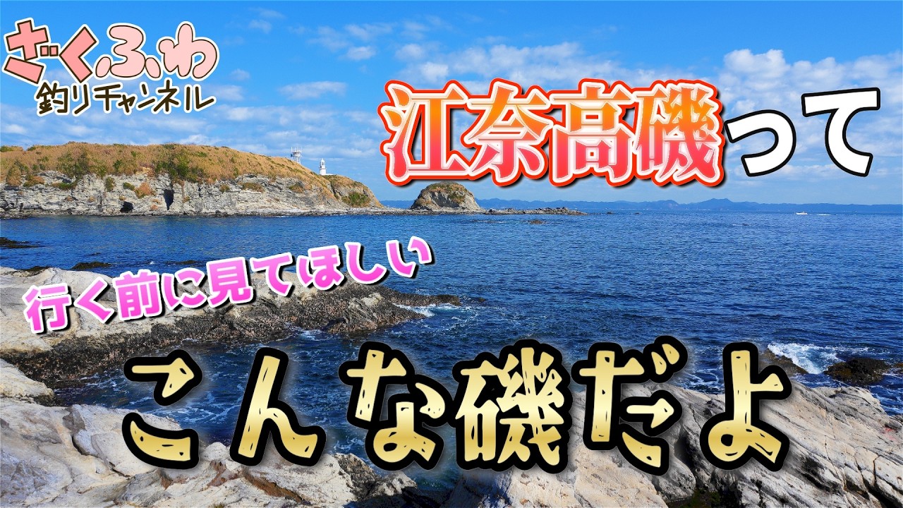 ヒラスズキ・デカアジが釣れると噂の地磯に行ってみた結果！【釣場調査】【ショアジギ】【カゴ釣り】