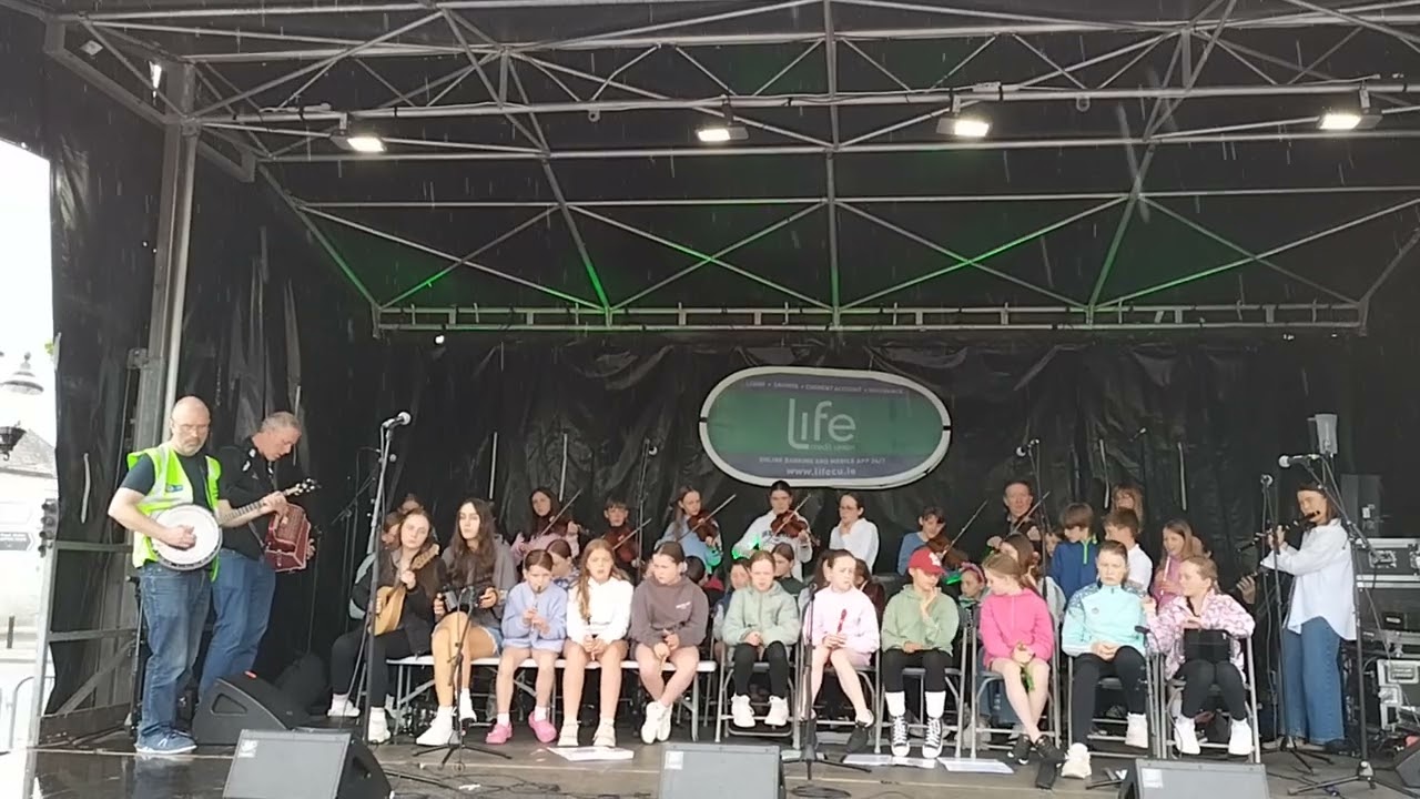 20250524 1322  Fleadh 2025 Gaelscoil Butterfly