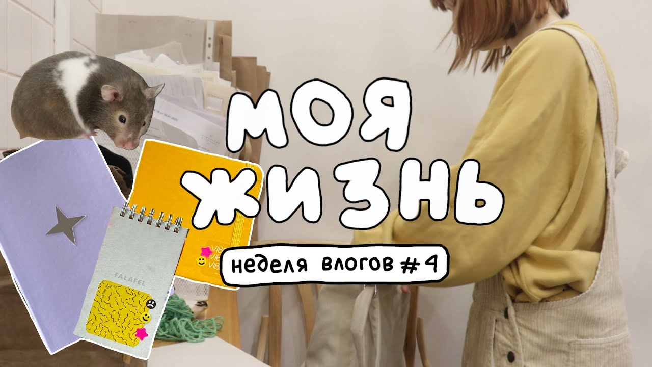 как я остаюсь продуктивной, работа и мой хомяк! неделя влогов, четверг