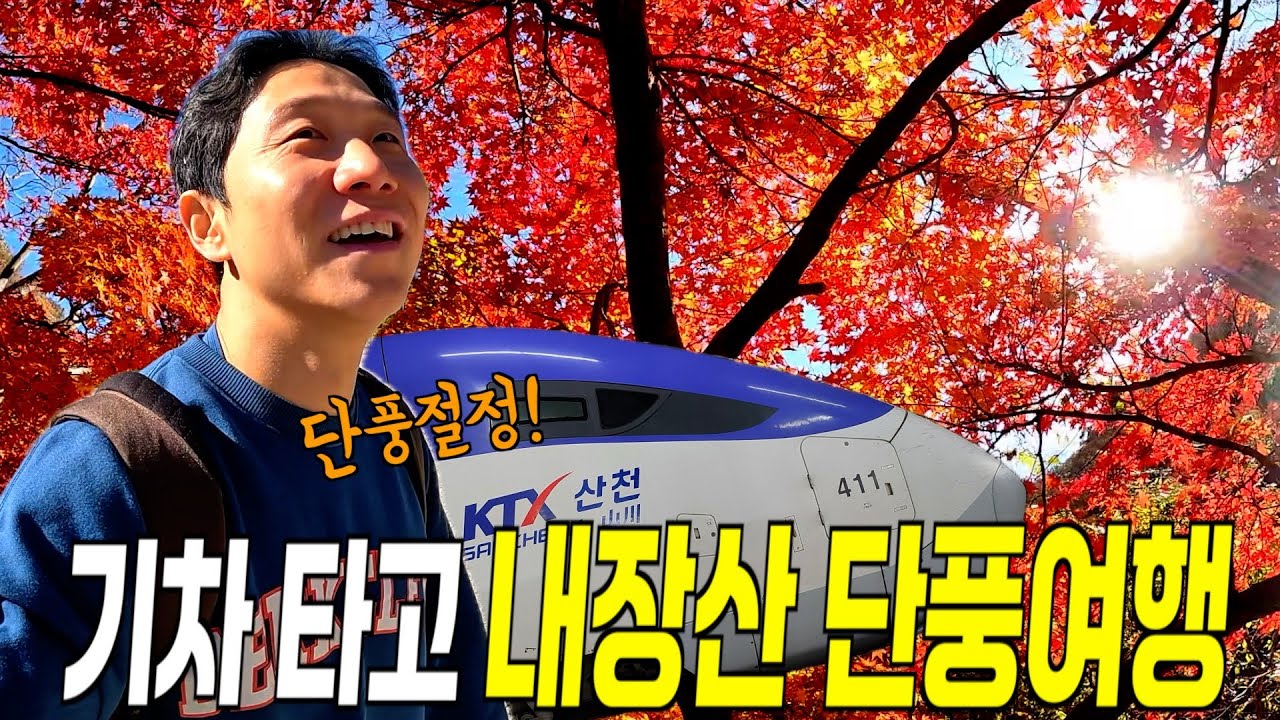 KTX 단풍열차 타고 내장산 당일치기 여행