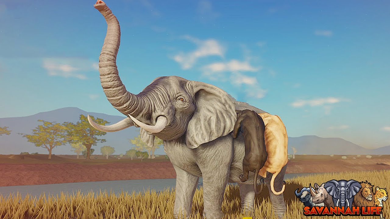 Surviving Chaotic Life Of An Elephant! | ROBLOX Savannah Life