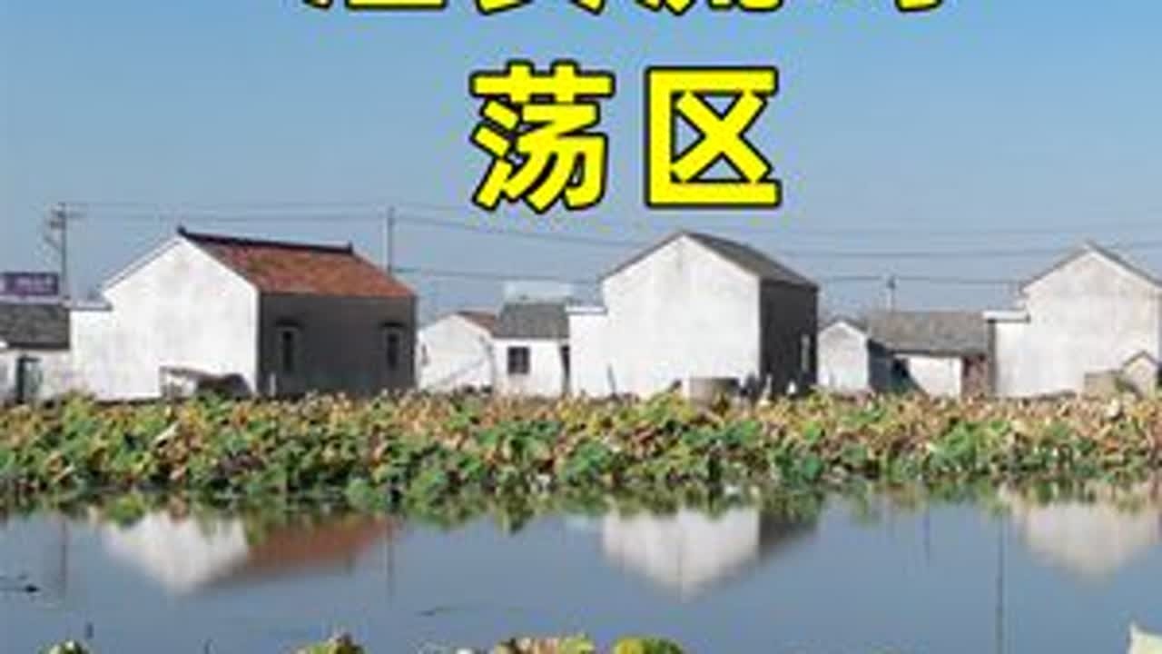 射阳湖荡区西北端，淮安流均永兴村迷人的深秋风景