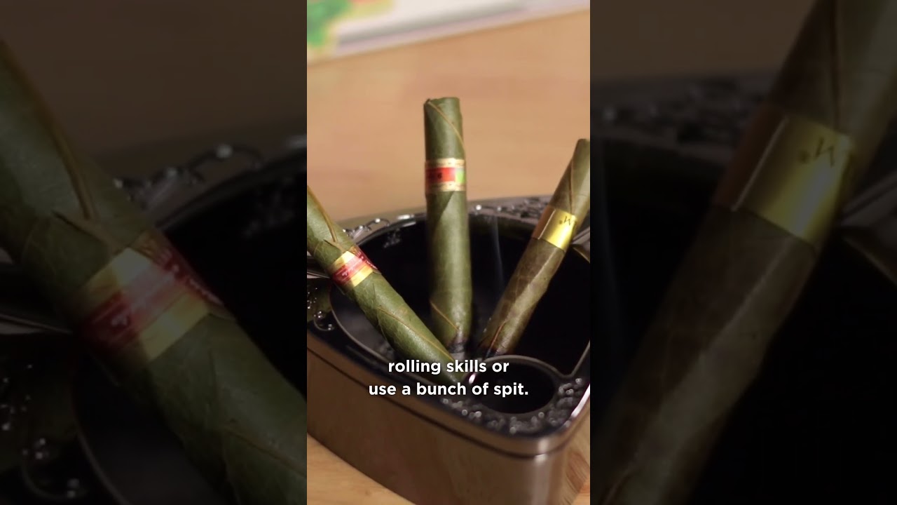 Putting our terps to the test