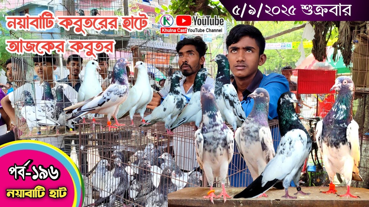সবথেকে বড় কবুতরের হাট পর্ব-১৯৬ Largest pigeon market in Khulna খালিশপুর, নয়াবাটি, চিত্রালী, খুলনা