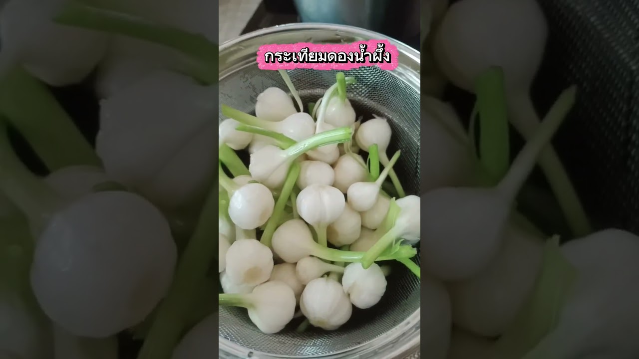 การดองกระเทียมสดผสมน้ำผึ้ง