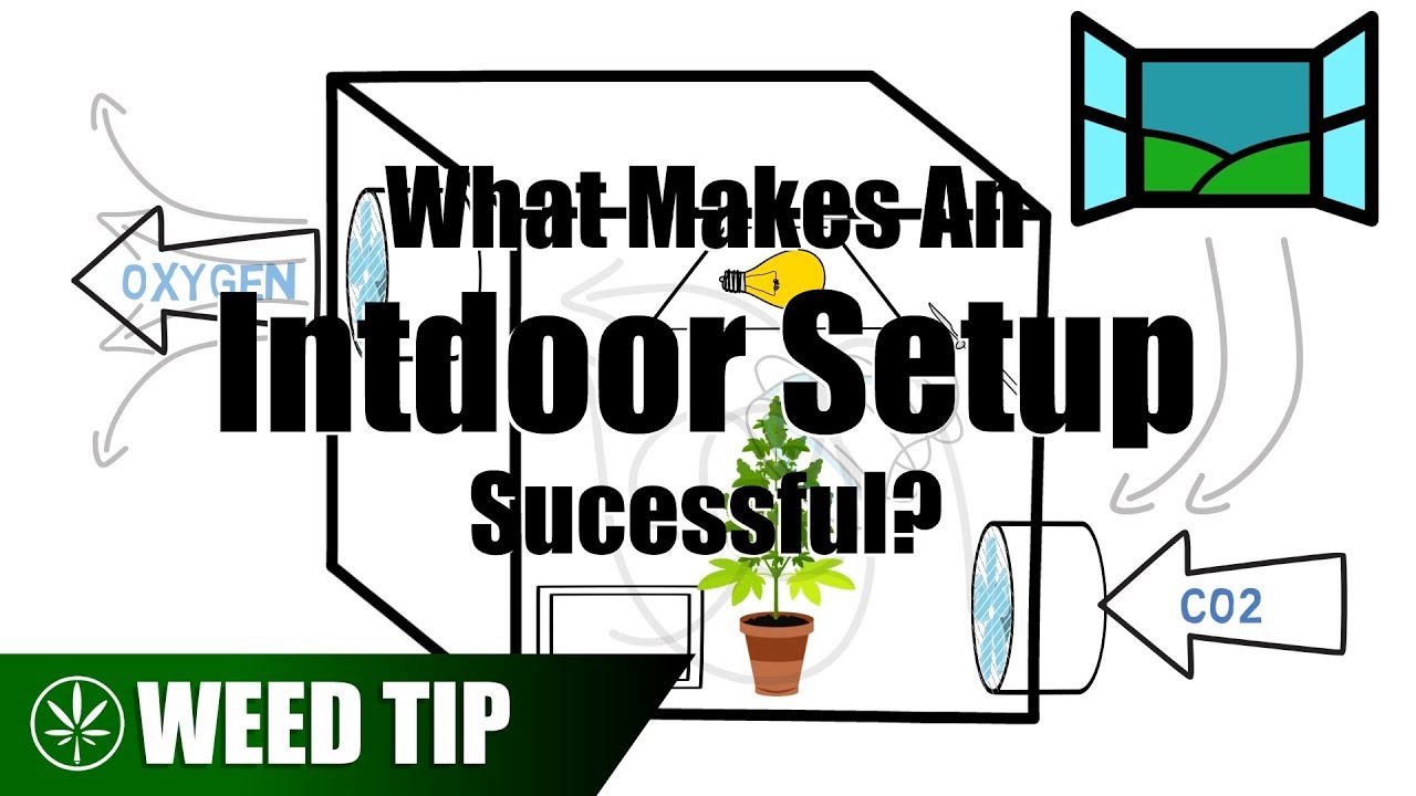 Things To Know Before Starting An Indoor Grow