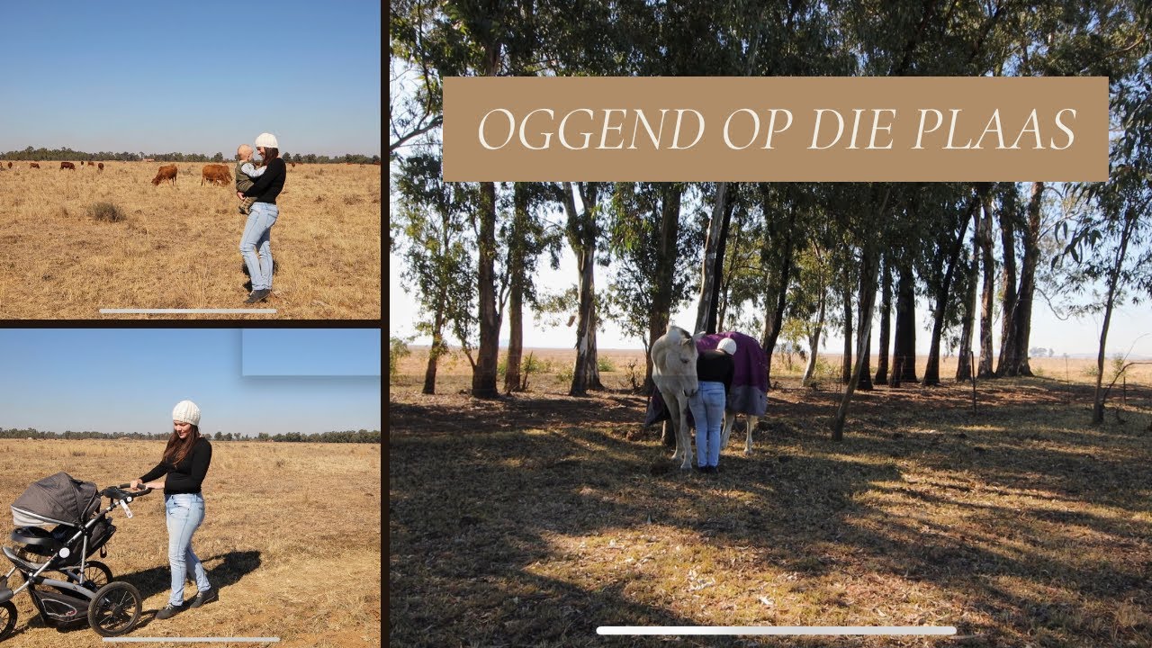 Plaaslewe: 'n Betowerende Oggendavontuur op die Land