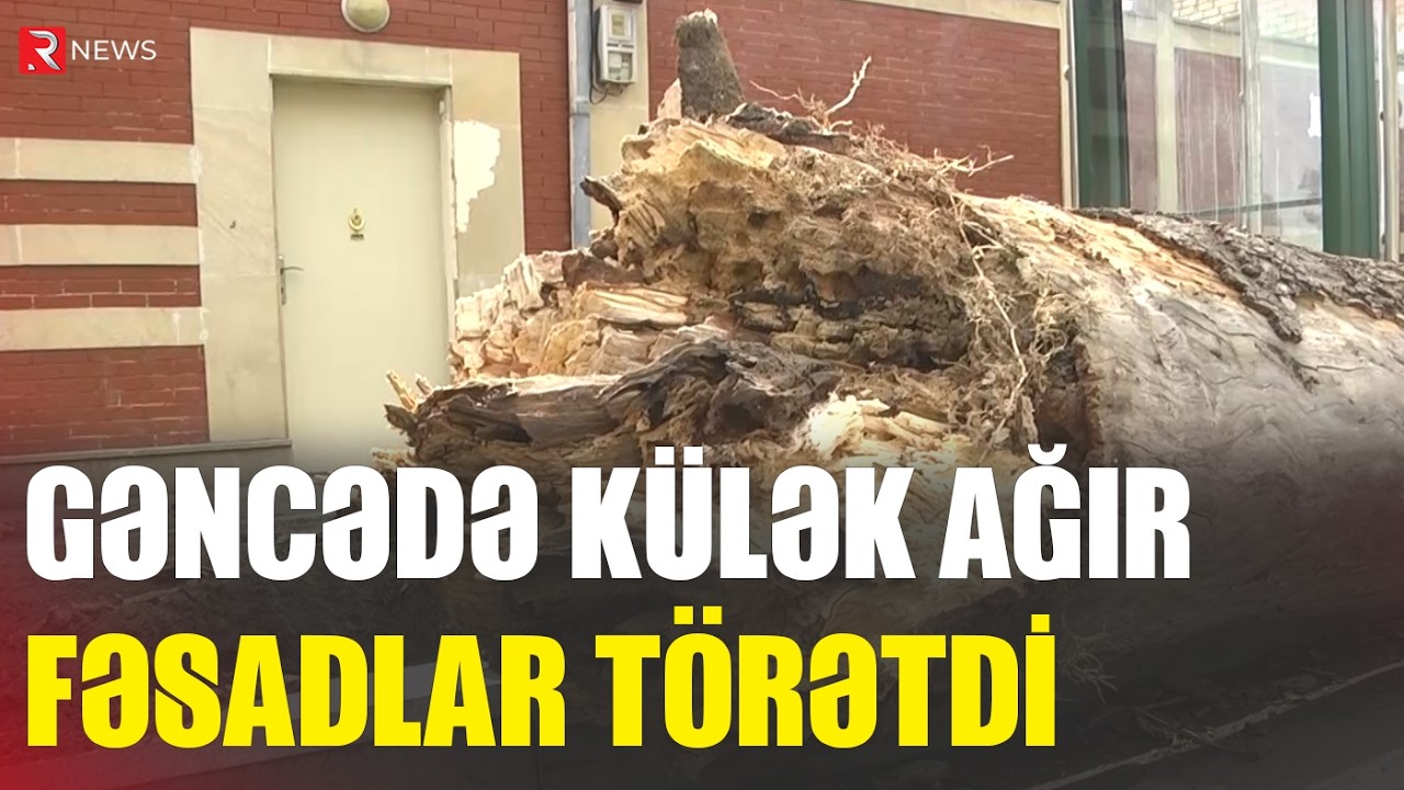 Gəncədə külək ağır fəsadlar törətdi - RTV