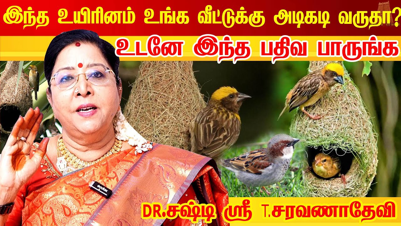 சிட்டுக்குருவி அடிக்கடி வீட்டுக்கு வருதா ஏன் தெரியுமா | Lucky Pets for Home |Astrologer | athirshtam