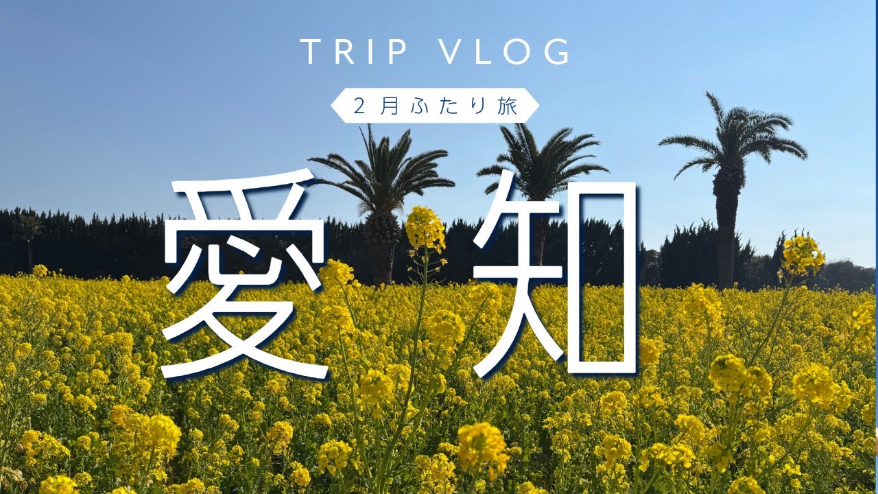 【日帰り愛知の旅】　伊良湖菜の花/日間賀島で冬の味覚ふぐを食べる旅
