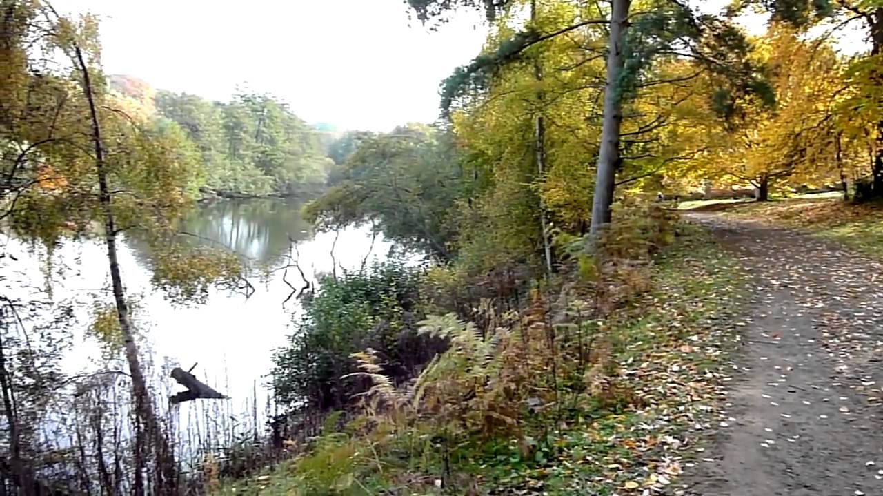 Winkworth Arboretum, National Trust