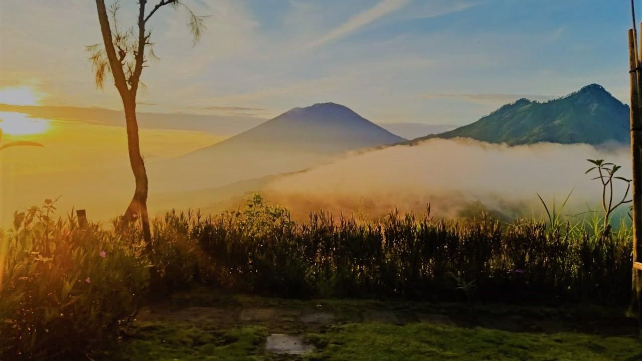 Bali Sunrise Camp & Glamping | Bali, Indonesia | Hotel Review🏠