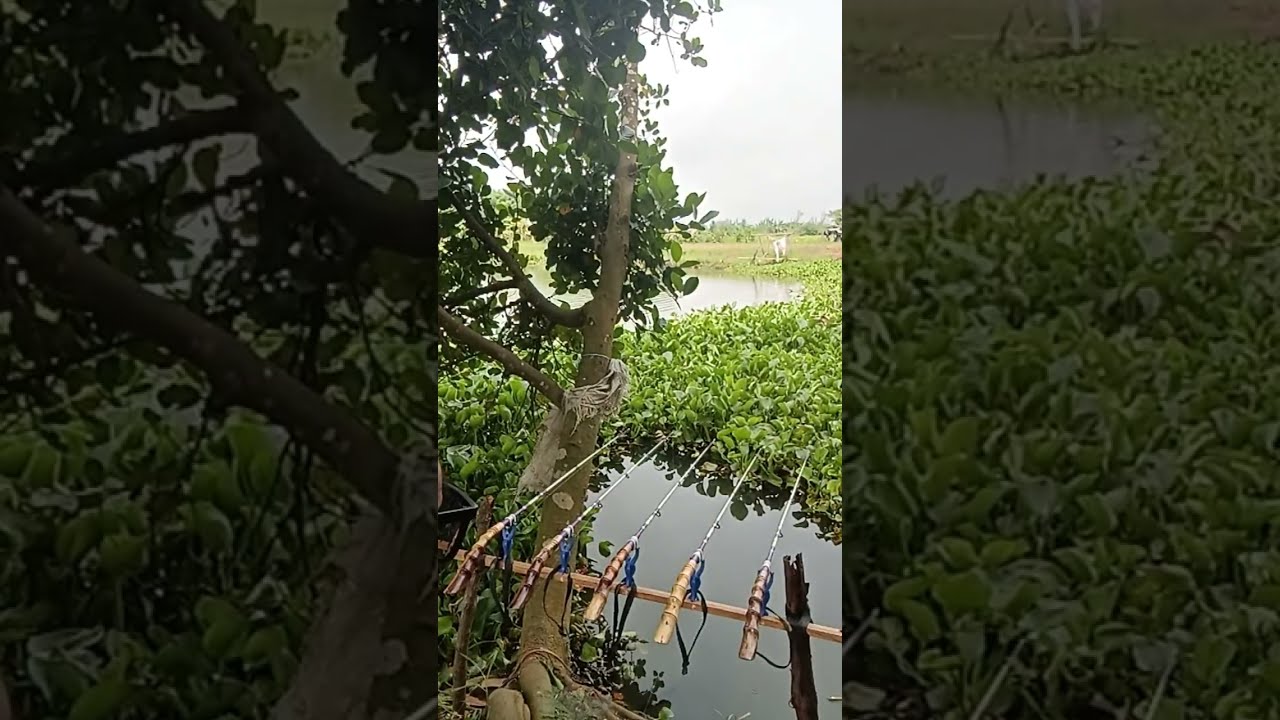 Dudung TomCat Fishing Channel  sedang live sekarang! Mancing Santai di Walahar ....