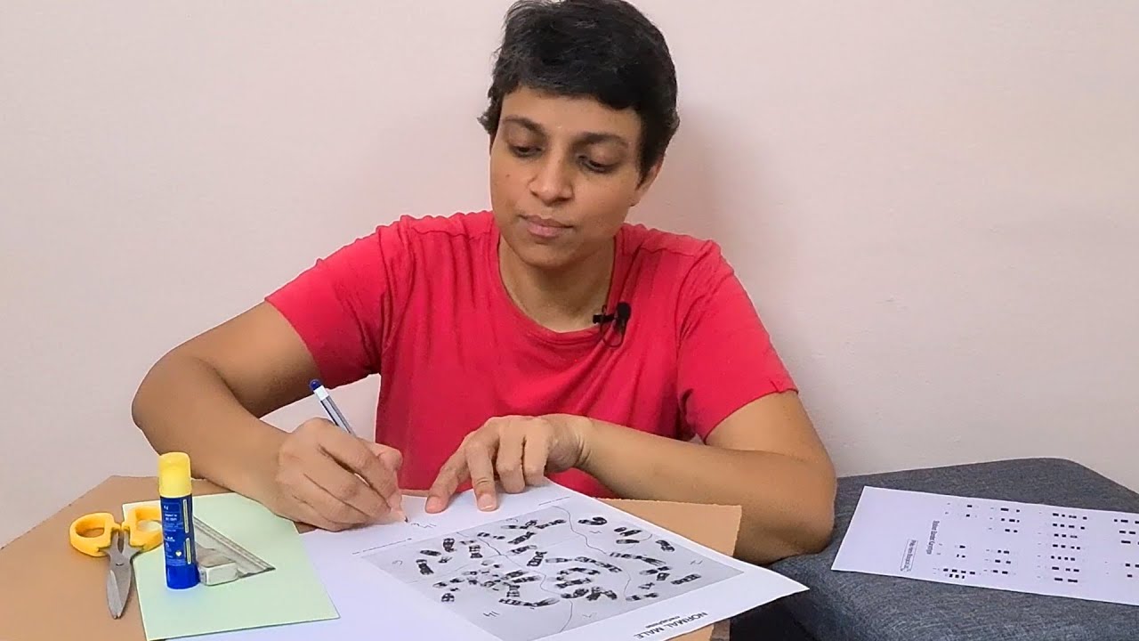 Human Chromosome Analysis - Karyotyping